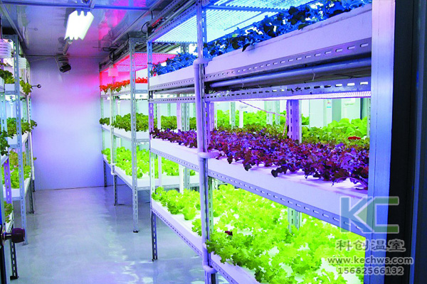無土栽培技術，無土栽培設備，無土栽培，溫室大棚