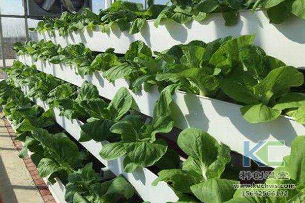 無土栽培技術，無土栽培設備，無土栽培，溫室大棚