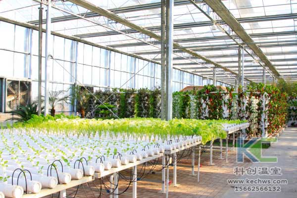 無土栽培,無土栽培技術,無土栽培設備