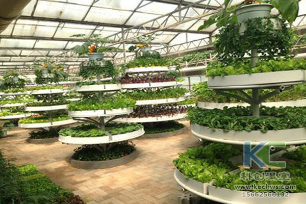 無土栽培技術，無土栽培設備，無土栽培，溫室大棚