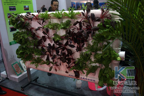 連棟溫室，無土栽培技術(shù)，栽培技術(shù)，無土栽培