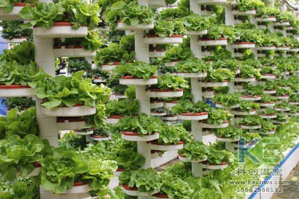 無土栽培技術，無土栽培設備，無土栽培，溫室大棚