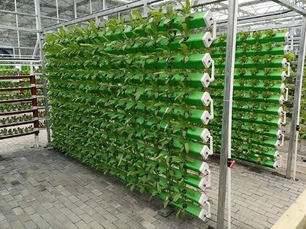 無(wú)土栽培，無(wú)土栽培技術(shù)，無(wú)土栽培設(shè)備