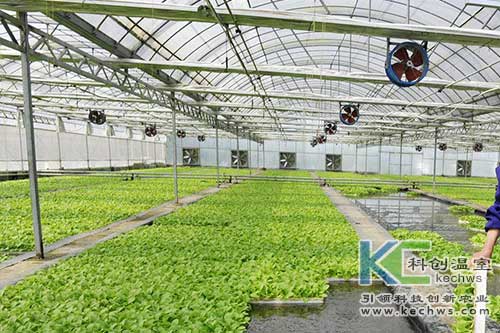 無土栽培，無土栽培技術，無土栽培設備