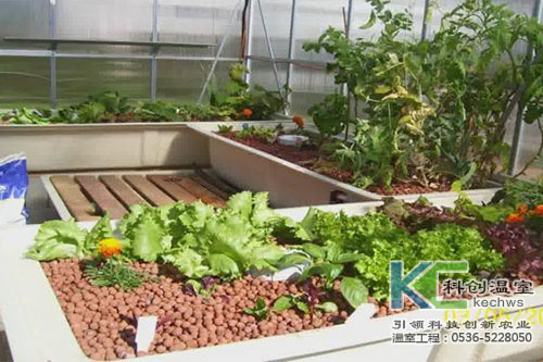 無土栽培,無土栽培技術,基質(zhì)