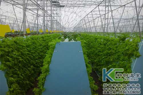 無土栽培，無土栽培技術，無土栽培設備
