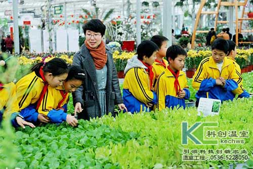 無(wú)土栽培，無(wú)土栽培技術(shù)，無(wú)土栽培設(shè)備