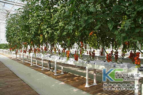 無土栽培，無土栽培技術，無土栽培設備