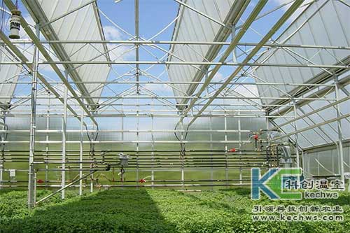 無土栽培，無土栽培技術，無土栽培設備