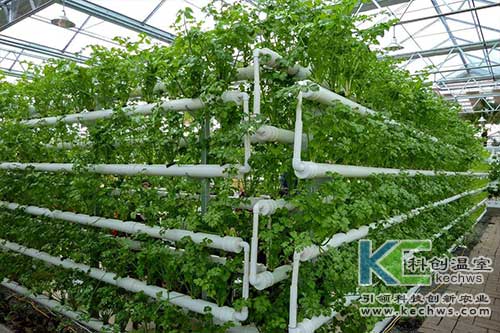 無土栽培，無土栽培技術(shù)，無土栽培設備