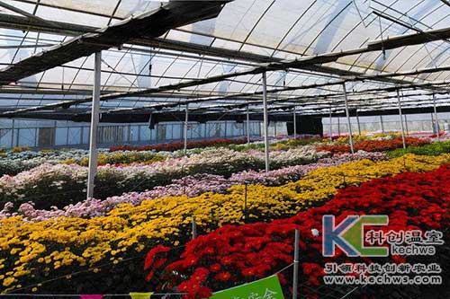 無土栽培，無土栽培技術(shù)，無土栽培設(shè)備