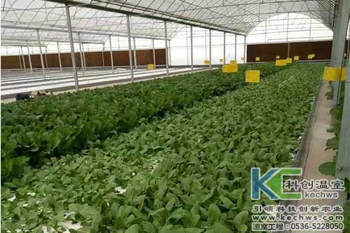 無土栽培，無土栽培技術，無土栽培設備