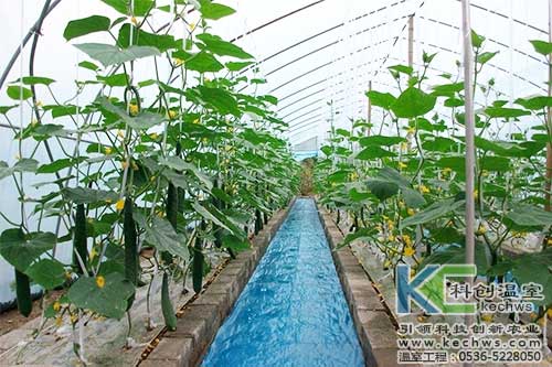 無土栽培,無土栽培技術(shù),無土栽培設(shè)備