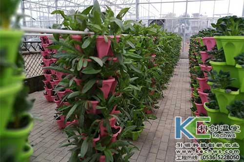 無土栽培，無土栽培技術(shù)，無土栽培設(shè)備