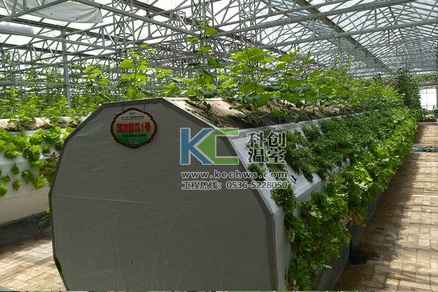 無土栽培，無土栽培技術，無土栽培設備