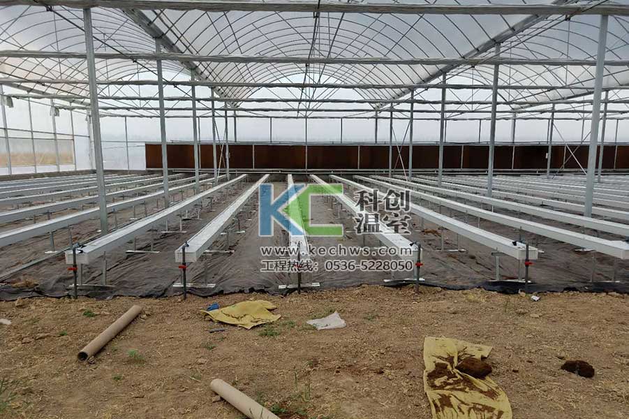 無(wú)土栽培,無(wú)土栽培技術(shù),無(wú)土栽培設(shè)備