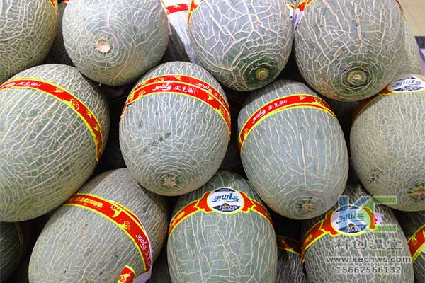 無土栽培,無土栽培技術(shù),無土栽培設(shè)備