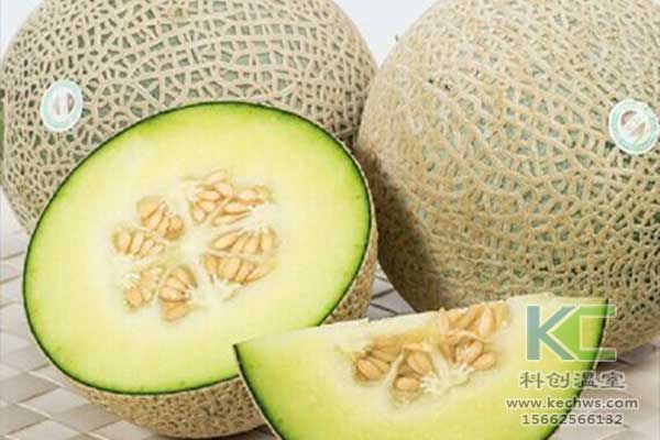 無土栽培,無土栽培技術(shù),無土栽培設(shè)備