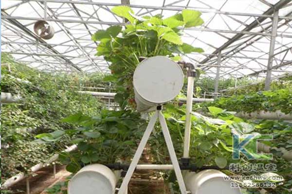 無土栽培，無土栽培技術，無土栽培設備