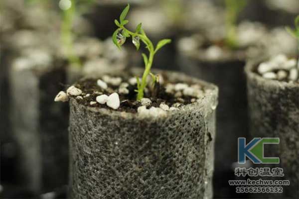 無土栽培，無土栽培技術，無土栽培設備