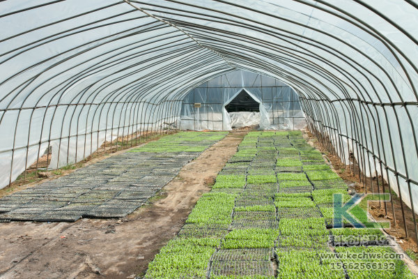 無土栽培，無土栽培技術，無土栽培設備