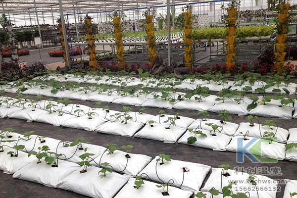 無土栽培，無土栽培技術，無土栽培設備