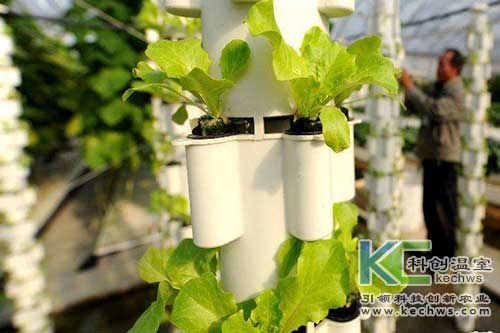 無土栽培，無土栽培技術，無土栽培設備
