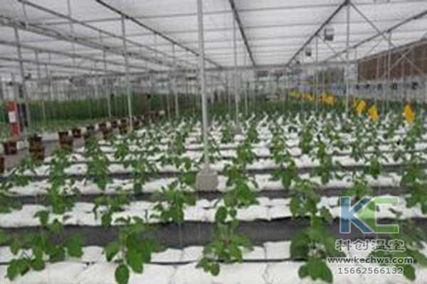 無土栽培，無土栽培技術，無土栽培設備