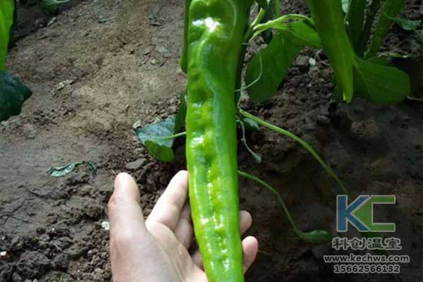 無土栽培，無土栽培基質