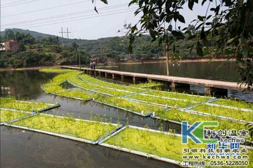 無土栽培，無土栽培技術，無土栽培設備