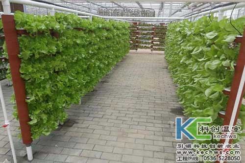 無土栽培，無土栽培技術，無土栽培設備