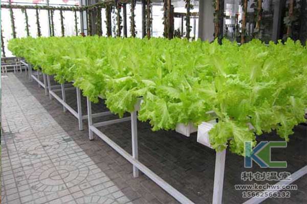 無土栽培，無土栽培技術，無土栽培設備