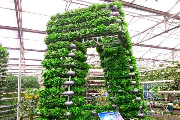 無土栽培，無土栽培技術，無土栽培設備