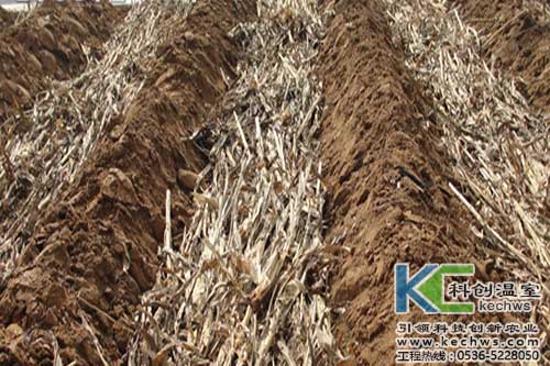 無土栽培，無土栽培技術，無土栽培設備