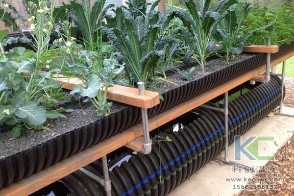 無土栽培，無土栽培技術(shù)，無土栽培設(shè)備