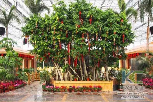 無(wú)土栽培，無(wú)土栽培技術(shù)，無(wú)土栽培設(shè)備