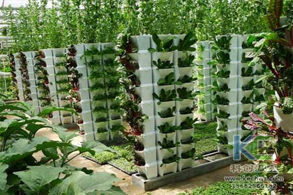 無土栽培，無土栽培技術(shù)，無土栽培設備