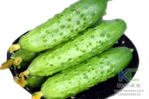 無土栽培，無土栽培技術，無土栽培設備