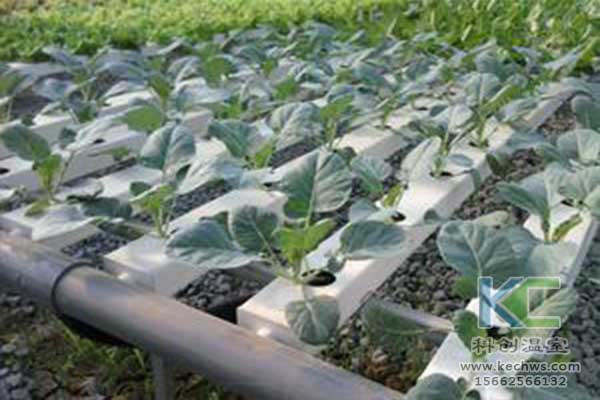 無土栽培，無土栽培技術，無土栽培設備