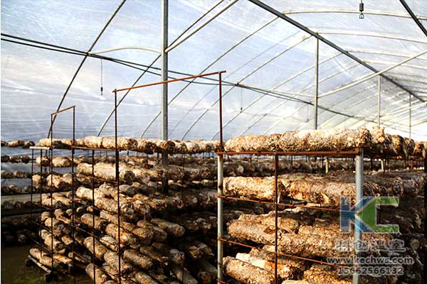 無土栽培，無土栽培技術