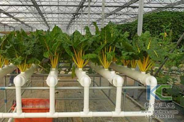 無土栽培，無土栽培技術，無土栽培設備
