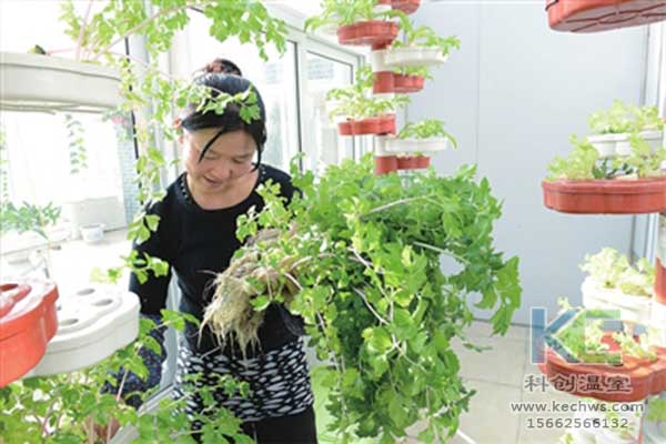 無(wú)土栽培，無(wú)土栽培技術(shù)，無(wú)土栽培設(shè)備