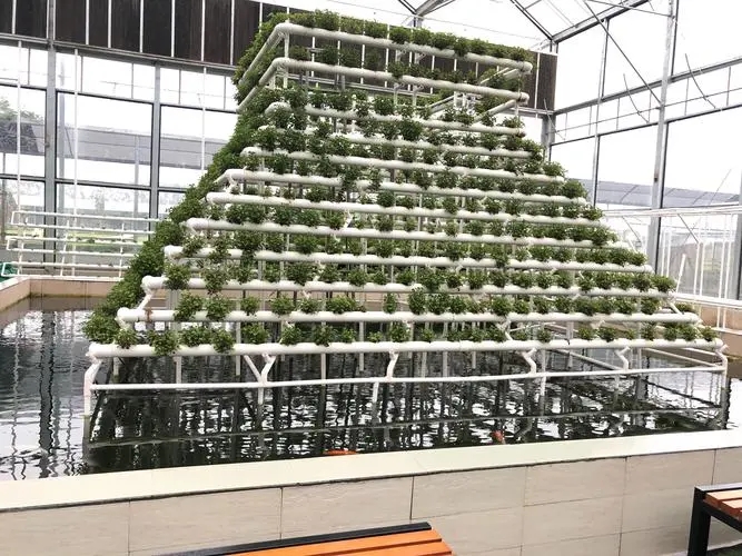 無(wú)土栽培，無(wú)土栽培技術(shù)，無(wú)土栽培設(shè)備