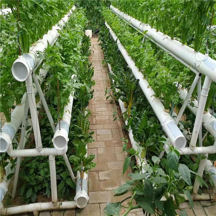 無(wú)土栽培，無(wú)土栽培技術(shù)，無(wú)土栽培設(shè)備