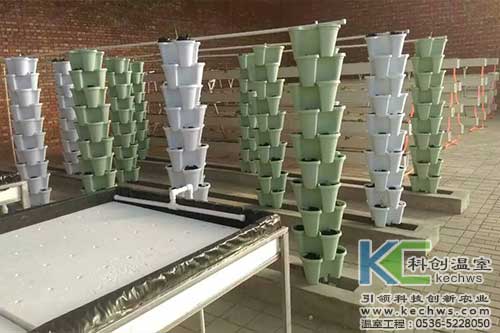 無(wú)土栽培,無(wú)土栽培設(shè)備,內(nèi)蒙古