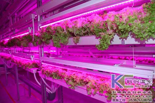 無土栽培，無土栽培技術(shù)，無土栽培設(shè)備