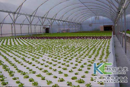無土栽培，無土栽培技術(shù)，無土栽培設(shè)備