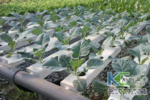 無土栽培，無土栽培技術(shù)，無土栽培設備