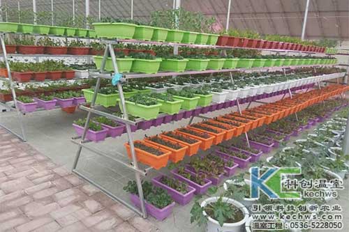 無土栽培,無土栽培技術(shù),無土栽培設(shè)備