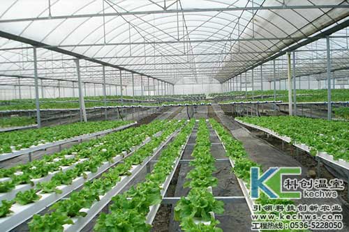 無(wú)土栽培，無(wú)土栽培技術(shù)，無(wú)土栽培設(shè)備